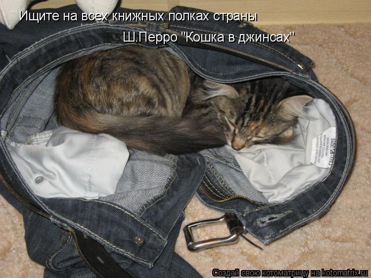 Ищите на всех книжных полках страны Ш.Перро "Кошка в джинсах"... Котоматрица: Ищите на всех книжных полках страны Ш.Перро "Кошка в джинсах"
