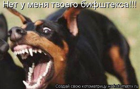 Нет у меня твоего бифштекса!!!... Котоматрица: Нет у меня твоего бифштекса!!!