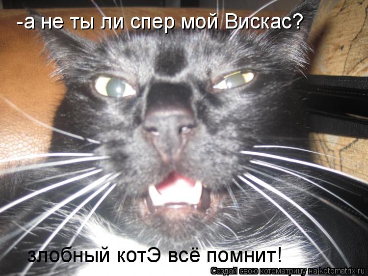 -а не ты ли спер мой Вискас? злобный котЭ всё помнит!... Котоматрица: -а не ты ли спер мой Вискас? злобный котЭ всё помнит!