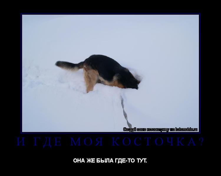 Котоматрица: И ГДЕ МОЯ КОСТОЧКА? ОНА ЖЕ БЫЛА ГДЕ-ТО ТУТ.