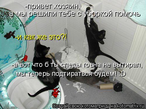 Котоматрица: -привет хозяин, а мы решили тебе с уборкой помочь -и как же это?! -а вот что б ты следы говна не вытирал, мы теперь подтираться будем! :D