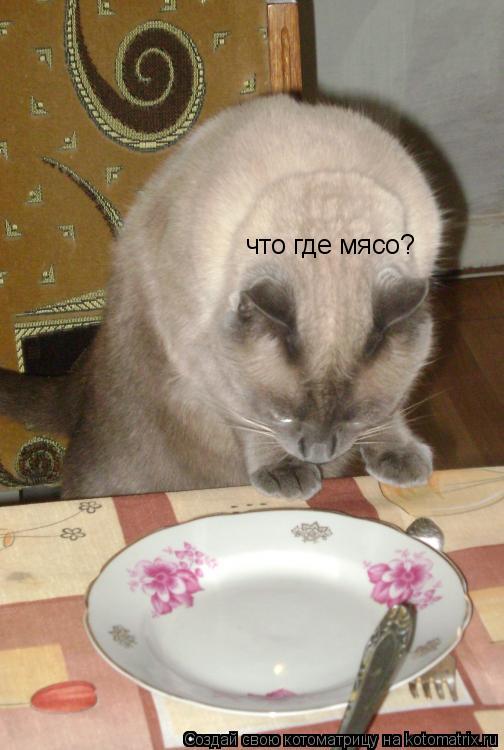 Котоматрица: что где мясо?