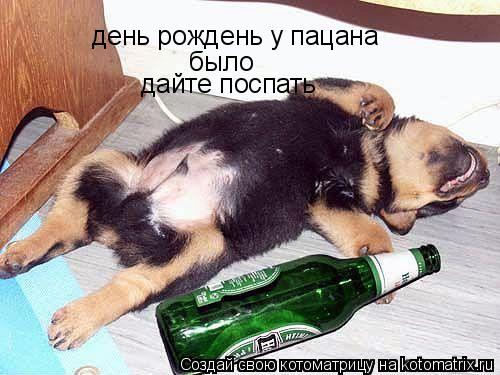 Котоматрица: день рождень у пацана было дайте поспать