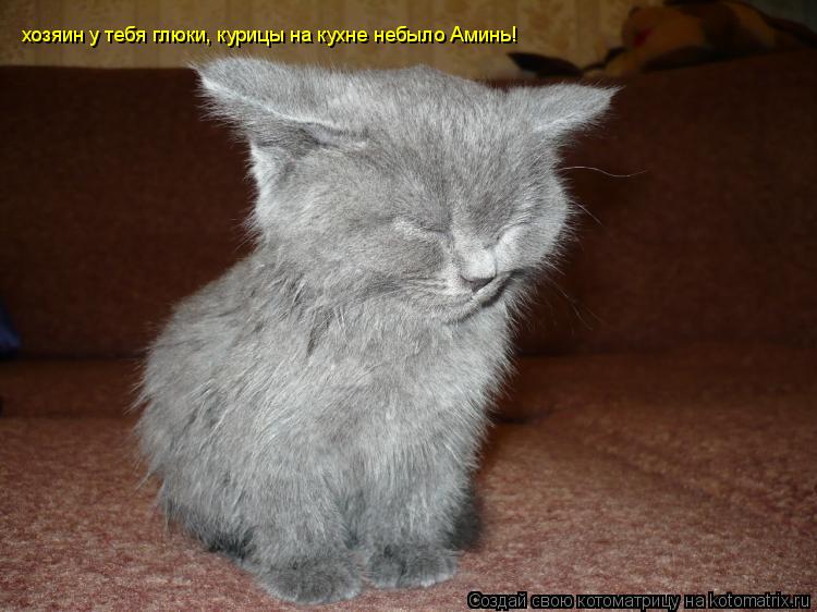 Котоматрица: хозяин у тебя глюки, курицы на кухне небыло Аминь!
