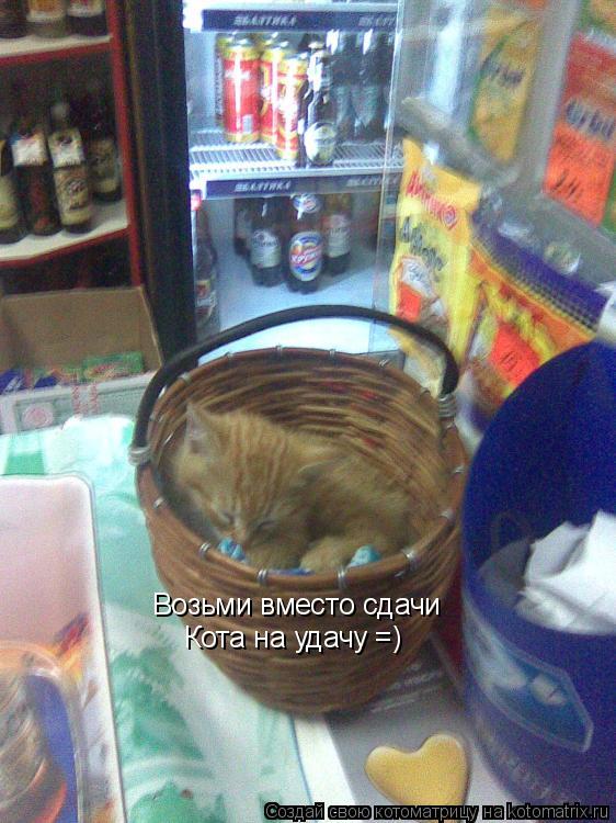 Котоматрица: Возьми вместо сдачи Кота на удачу =)