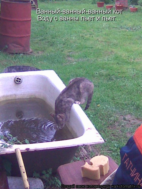 Котоматрица: Ванный-ванный-ванный кот Воду с ванны пьет и пьет...