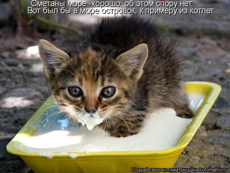 Котоматрица: Сметаны море -хорошо, об этом спору нет, Вот был бы в море островок, к примеру из котлет...
