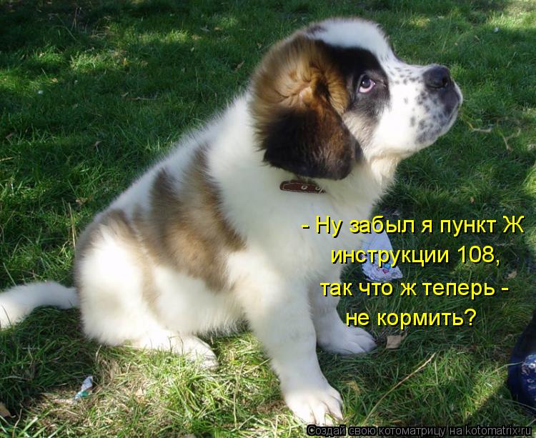 - Ну забыл я пункт Ж инструкции 108, так что ж теперь - не кормить?... Котоматрица: - Ну забыл я пункт Ж инструкции 108, так что ж теперь - не кормить?