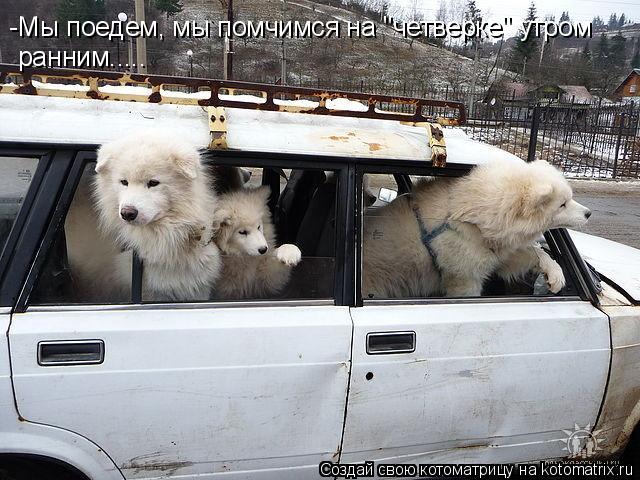 -Мы поедем, мы помчимся на "четверке" утром ранним........ Котоматрица: -Мы поедем, мы помчимся на "четверке" утром ранним.....