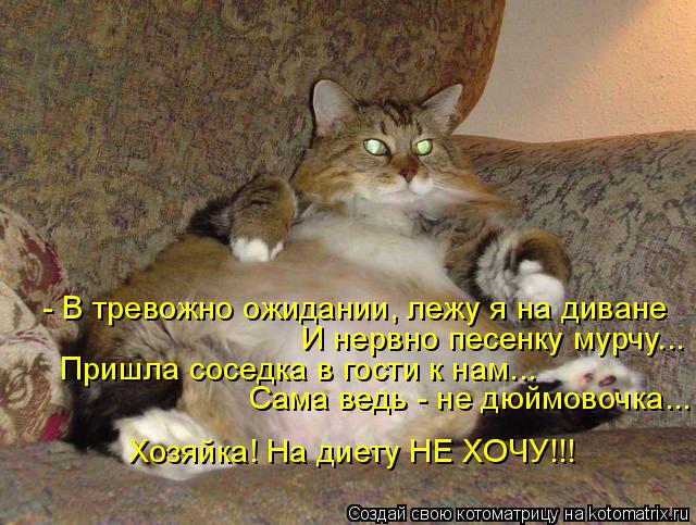 - В тревожно ожидании, лежу я на диване И нервно песенку мурчу... Пришла соседка в гости к нам... Сам... Котоматрица: - В тревожно ожидании, лежу я на диване И нервно песенку мурчу... Пришла соседка в гости к нам... Сама ведь - не дюймовочка... Хозяйка! На диету НЕ