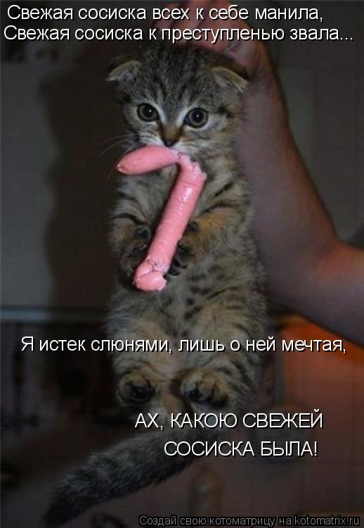 Свежая сосиска всех к себе манила, Свежая сосиска к преступленью звала... Я истек слюнями, лишь о не... Котоматрица: Свежая сосиска всех к себе манила, Свежая сосиска к преступленью звала... Я истек слюнями, лишь о ней мечтая, АХ, КАКОЮ СВЕЖЕЙ СОСИСКА БЫЛА!