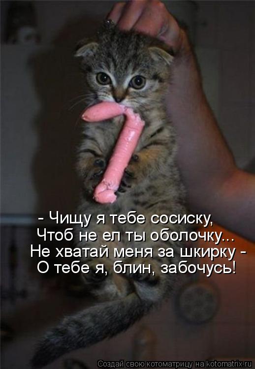 - Чищу я тебе сосиску, Чтоб не ел ты оболочку... Не хватай меня за шкирку - О тебе я, блин, забочусь... Котоматрица: - Чищу я тебе сосиску, Чтоб не ел ты оболочку... Не хватай меня за шкирку - О тебе я, блин, забочусь!