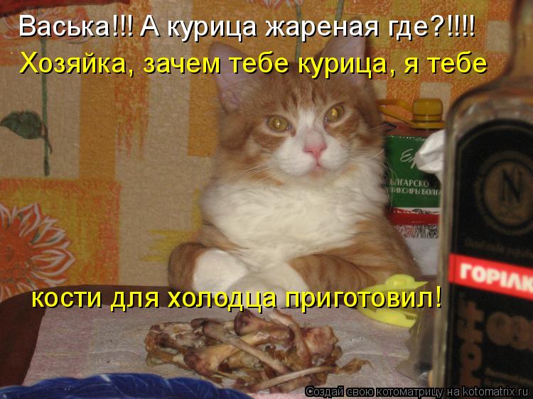 Васька!!! А курица жареная где?!!!! Хозяйка, зачем тебе курица, я тебе кости для холодца приготовил!... Котоматрица: Васька!!! А курица жареная где?!!!! Хозяйка, зачем тебе курица, я тебе кости для холодца приготовил!