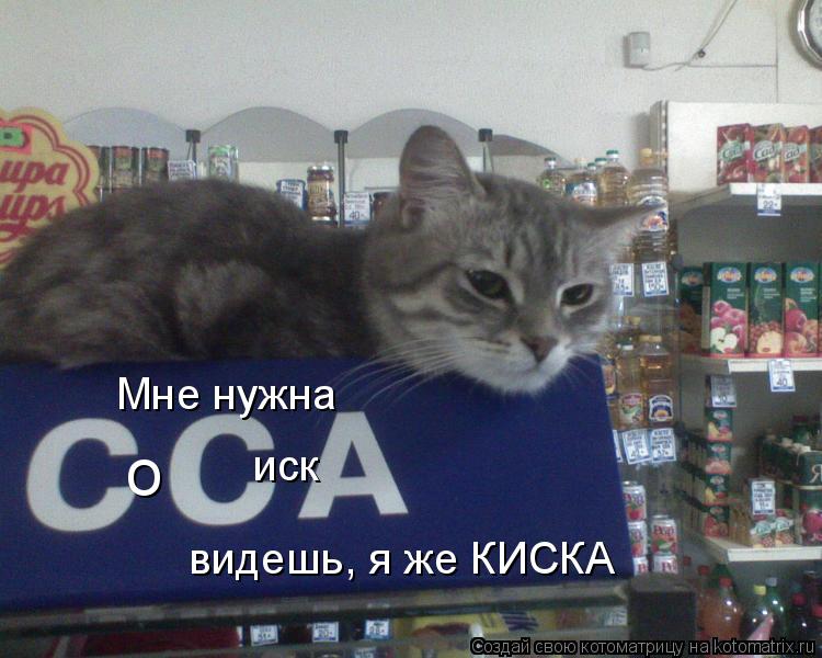 о иск Мне нужна видешь, я же КИСКА... Котоматрица: о иск Мне нужна видешь, я же КИСКА
