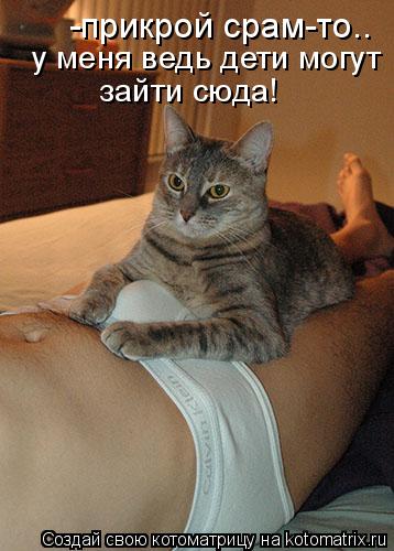 -прикрой срам-то.. у меня ведь дети могут зайти сюда!... Котоматрица: -прикрой срам-то.. у меня ведь дети могут зайти сюда!