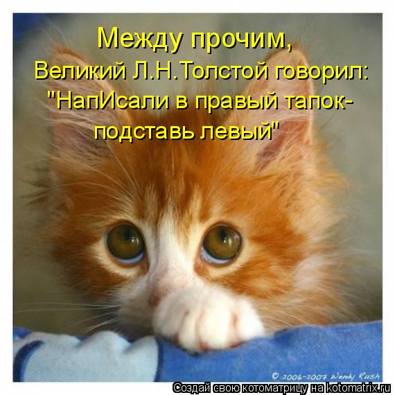Между прочим, Великий Л.Н.Толстой говорил: "НапИсали в правый тапок- подставь левый"... Котоматрица: Между прочим, Великий Л.Н.Толстой говорил: "НапИсали в правый тапок- подставь левый"