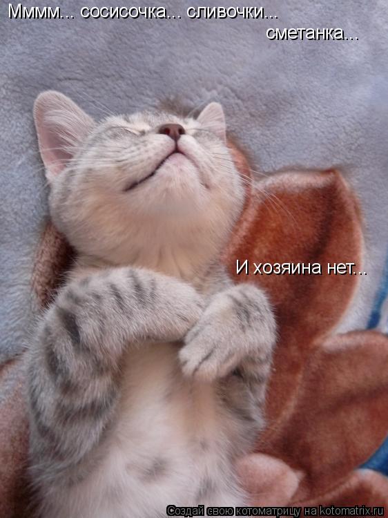 Мммм... сосисочка... сливочки... сметанка... И хозяина нет...... Котоматрица: Мммм... сосисочка... сливочки... сметанка... И хозяина нет...