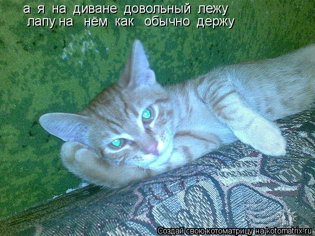 а я на диване довольный лежу лапу на нём как обычно держу... Котоматрица: а я на диване довольный лежу лапу на нём как обычно держу