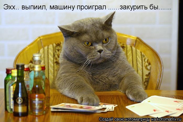 Эхх.. выпиил, машину проиграл ......закурить бы.......... Котоматрица: Эхх.. выпиил, машину проиграл ......закурить бы.......