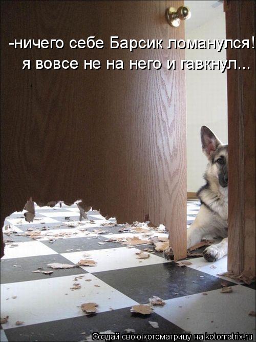 -ничего себе Барсик ломанулся! я вовсе не на него и гавкнул...... Котоматрица: -ничего себе Барсик ломанулся! я вовсе не на него и гавкнул...