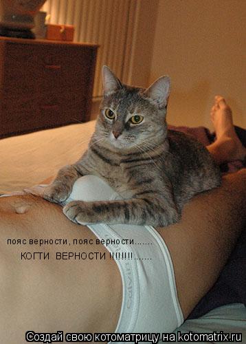 пояс верности, пояс верности....... КОГТИ ВЕРНОСТИ !!!!!!!!.......... Котоматрица: пояс верности, пояс верности....... КОГТИ ВЕРНОСТИ !!!!!!!!.......