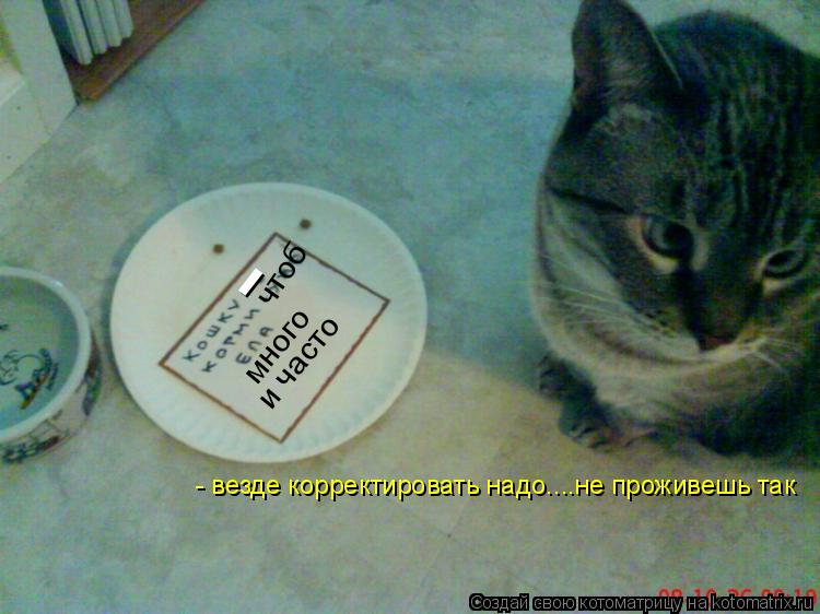 много и часто чтоб - - везде корректировать надо....не проживешь так... Котоматрица: много и часто чтоб - - везде корректировать надо....не проживешь так