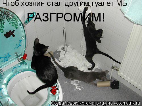 Чтоб хозяин стал другим туалет МЫ! РАЗГРОМИМ!... Котоматрица: Чтоб хозяин стал другим туалет МЫ! РАЗГРОМИМ!