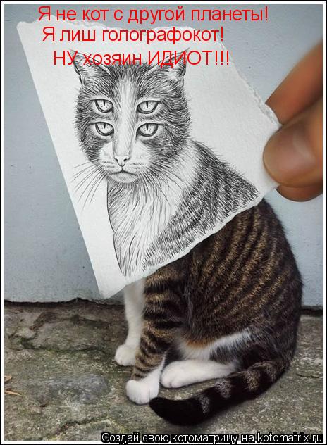 Я не кот с другой планеты! Я лиш голографокот! НУ хозяин ИДИОТ!!!... Котоматрица: Я не кот с другой планеты! Я лиш голографокот! НУ хозяин ИДИОТ!!!