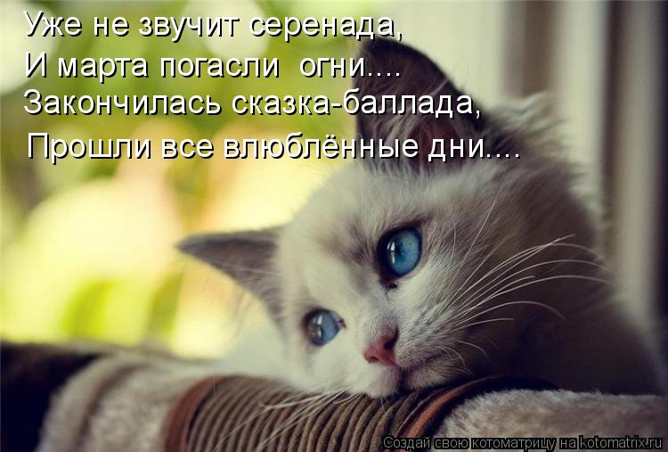 Уже не звучит серенада, И марта погасли огни.... Закончилась сказка-баллада, Прошли все влюблённые д... Котоматрица: Уже не звучит серенада, И марта погасли огни.... Закончилась сказка-баллада, Прошли все влюблённые дни....