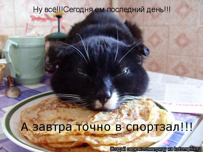 Ну всё!!!Сегодня ем последний день!!! А завтра точно в спортзал!!!... Котоматрица: Ну всё!!!Сегодня ем последний день!!! А завтра точно в спортзал!!!