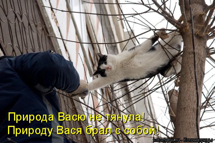 Котоматрица: Природа Васю не тянула! Природу Вася брал с собой!