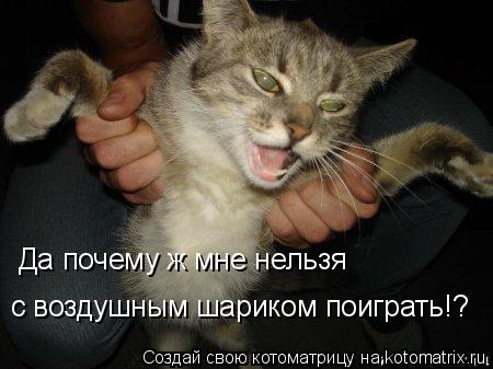 Да почему ж мне нельзя с воздушным шариком поиграть!?... Котоматрица: Да почему ж мне нельзя с воздушным шариком поиграть!?