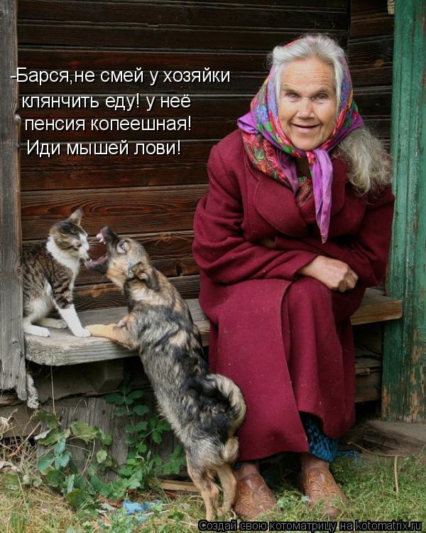 -Барся,не смей у хозяйки клянчить еду! у неё пенсия копеешная! Иди мышей лови!... Котоматрица: -Барся,не смей у хозяйки клянчить еду! у неё пенсия копеешная! Иди мышей лови!
