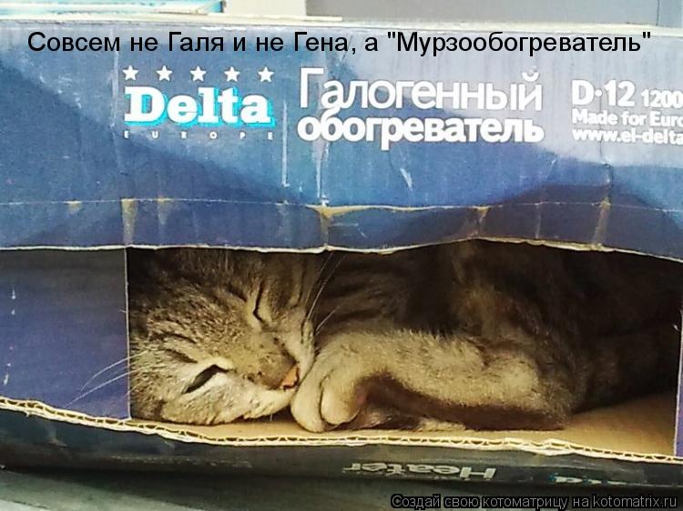 Совсем не Галя и не Гена, а "Мурзообогреватель"... Котоматрица: Совсем не Галя и не Гена, а "Мурзообогреватель"