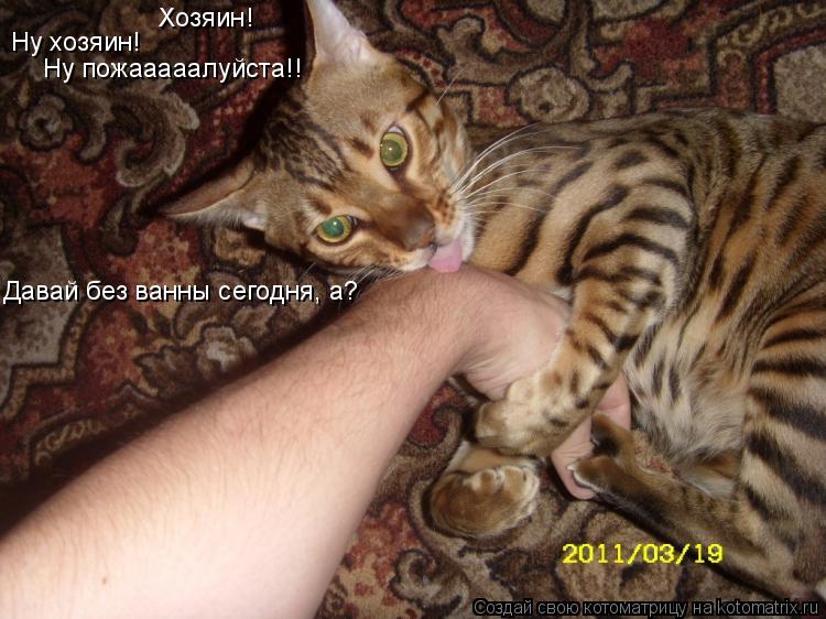 Хозяин! Ну хозяин! Ну пожааааалуйста!! Давай без ванны сегодня, а?... Котоматрица: Хозяин! Ну хозяин! Ну пожааааалуйста!! Давай без ванны сегодня, а?