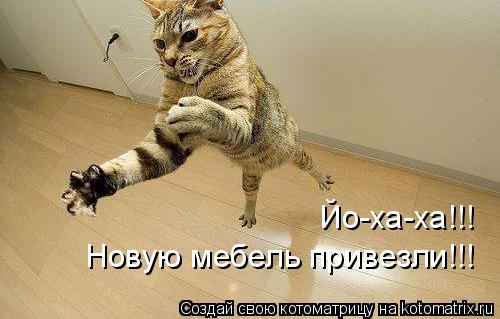 Новую мебель привезли!!! Йо-ха-ха!!!... Котоматрица: Новую мебель привезли!!! Йо-ха-ха!!!