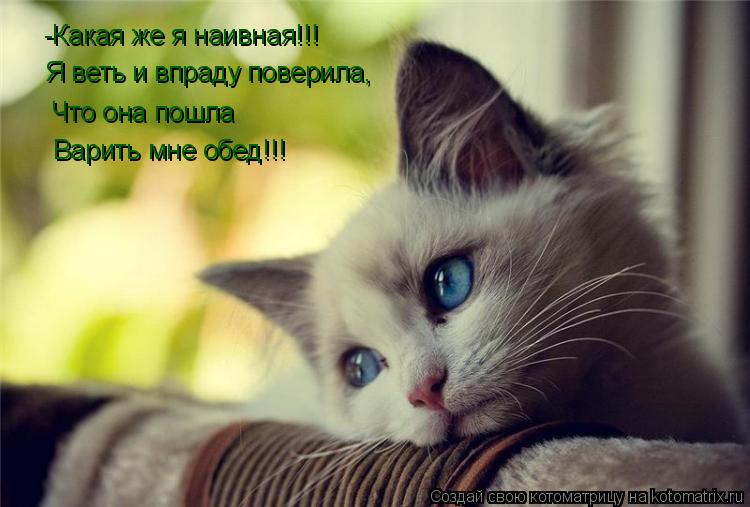 -Какая же я наивная!!! Я веть и впраду поверила, Что она пошла Варить мне обед!!!... Котоматрица: -Какая же я наивная!!! Я веть и впраду поверила, Что она пошла Варить мне обед!!!