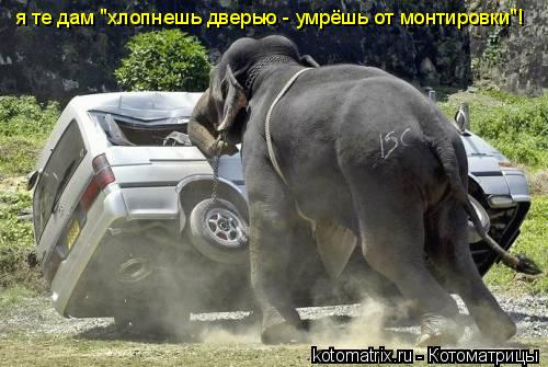 я те дам "хлопнешь дверью - умрёшь от монтировки"!... Котоматрица: я те дам "хлопнешь дверью - умрёшь от монтировки"!