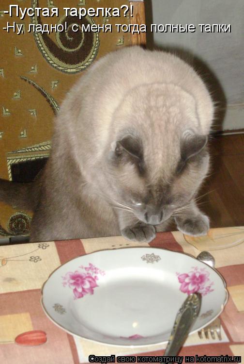 -Пустая тарелка?! -Ну, ладно! с меня тогда полные тапки... Котоматрица: -Пустая тарелка?! -Ну, ладно! с меня тогда полные тапки