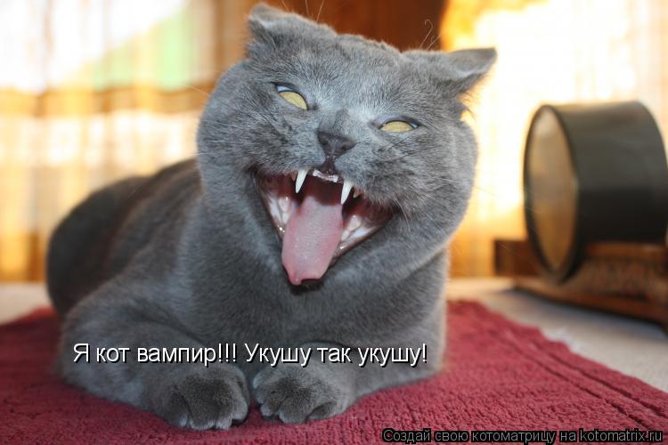 Я кот вампир!!! Укушу так укушу!... Котоматрица: Я кот вампир!!! Укушу так укушу!