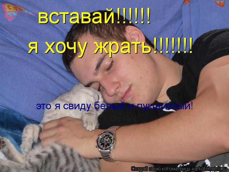 вставай!!!!!! я хочу жрать!!!!!!! это я свиду белый и пукшистый!... Котоматрица: вставай!!!!!! я хочу жрать!!!!!!! это я свиду белый и пукшистый!