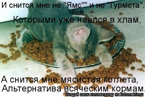 А снится мне мясистая котлета, Альтернатива всяческим кормам. И снится мне не "Ямс"" и не "Гурмета",... Котоматрица: А снится мне мясистая котлета, Альтернатива всяческим кормам. И снится мне не "Ямс"" и не "Гурмета", Которыми уже наелся в хлам,