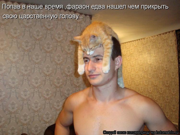 Попав в наше время ,фараон едва нашел чем прикрыть свою царственную голову...... Котоматрица: Попав в наше время ,фараон едва нашел чем прикрыть свою царственную голову...