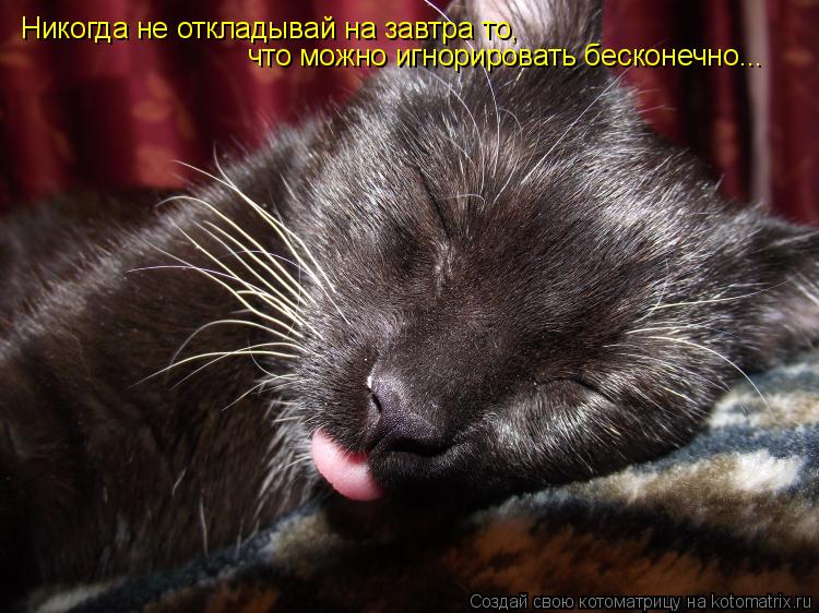 Никогда не откладывай на завтра то, что можно игнорировать бесконечно...... Котоматрица: Никогда не откладывай на завтра то, что можно игнорировать бесконечно...