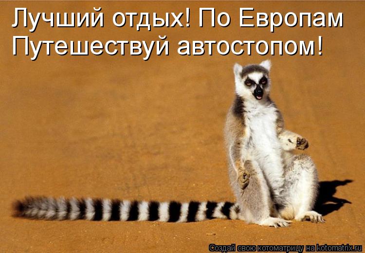 Лучший отдых! По Европам Путешествуй автостопом!... Котоматрица: Лучший отдых! По Европам Путешествуй автостопом!