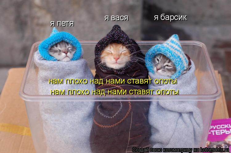 я петя я вася я барсик нам плохо над нами ставят опоты нам плохо над нами ставят опоты... Котоматрица: я петя я вася я барсик нам плохо над нами ставят опоты нам плохо над нами ставят опоты