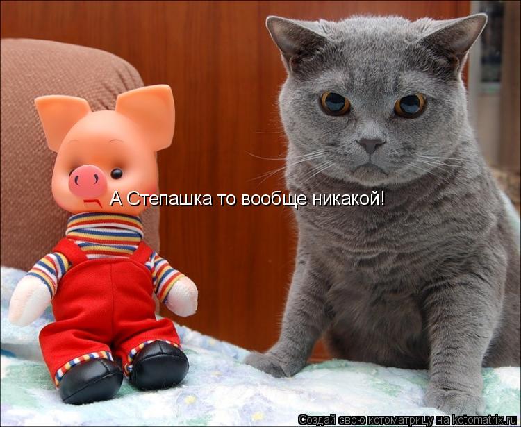А Степашка то вообще никакой!... Котоматрица: А Степашка то вообще никакой!