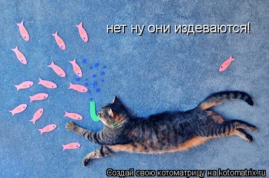 нет ну они издеваются!... Котоматрица: нет ну они издеваются!