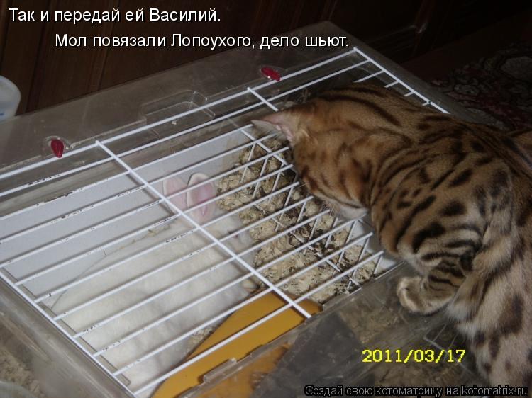 Так и передай ей Василий. Мол повязали Лопоухого, дело шьют.... Котоматрица: Так и передай ей Василий. Мол повязали Лопоухого, дело шьют.
