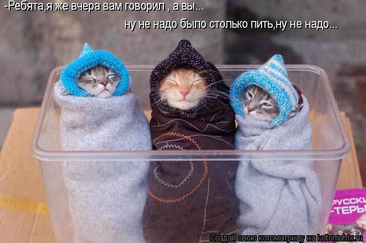 -Ребята,я же вчера вам говорил , а вы... ну не надо было столько пить,ну не надо...... Котоматрица: -Ребята,я же вчера вам говорил , а вы... ну не надо было столько пить,ну не надо...